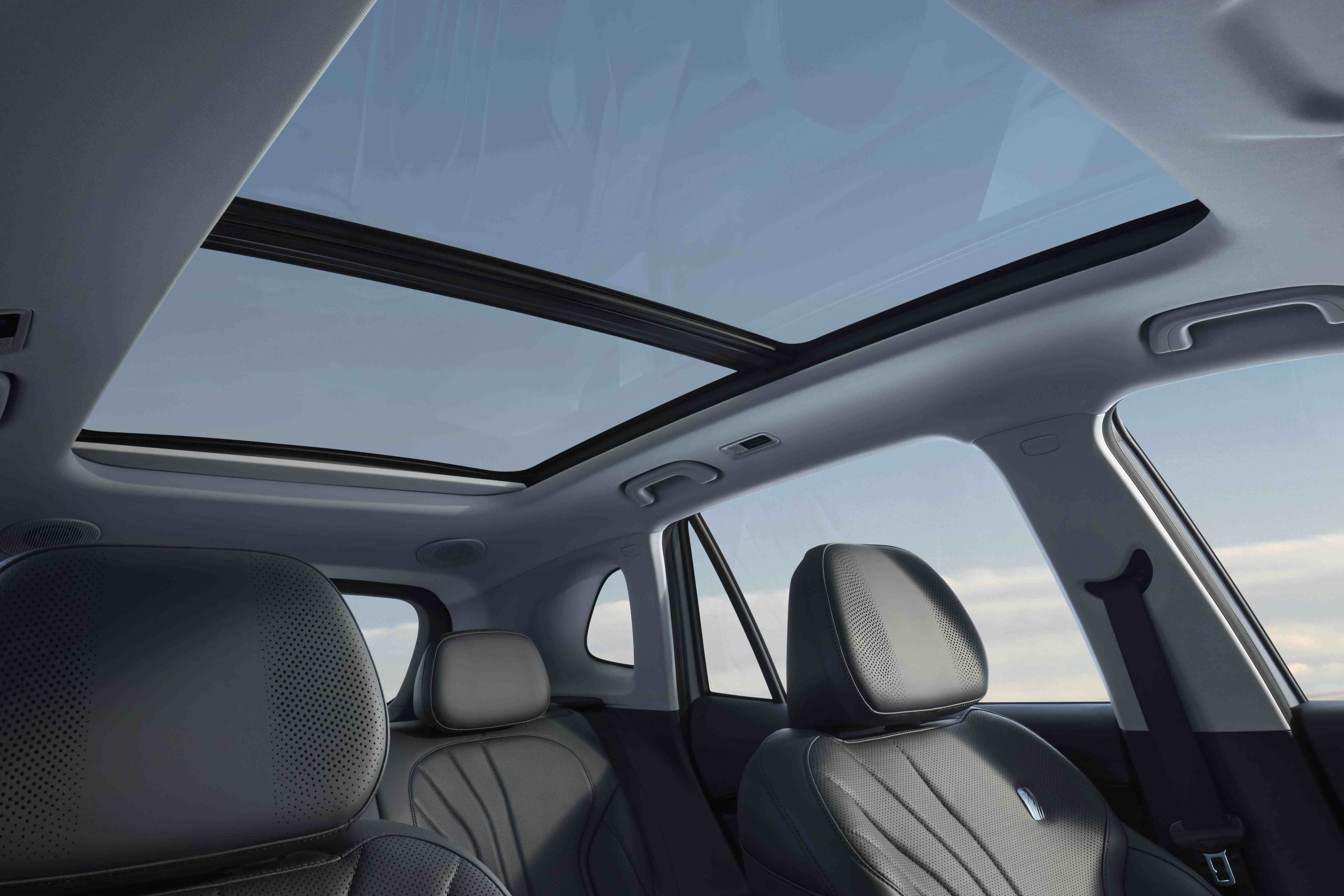 Openable Panoramic Canopy